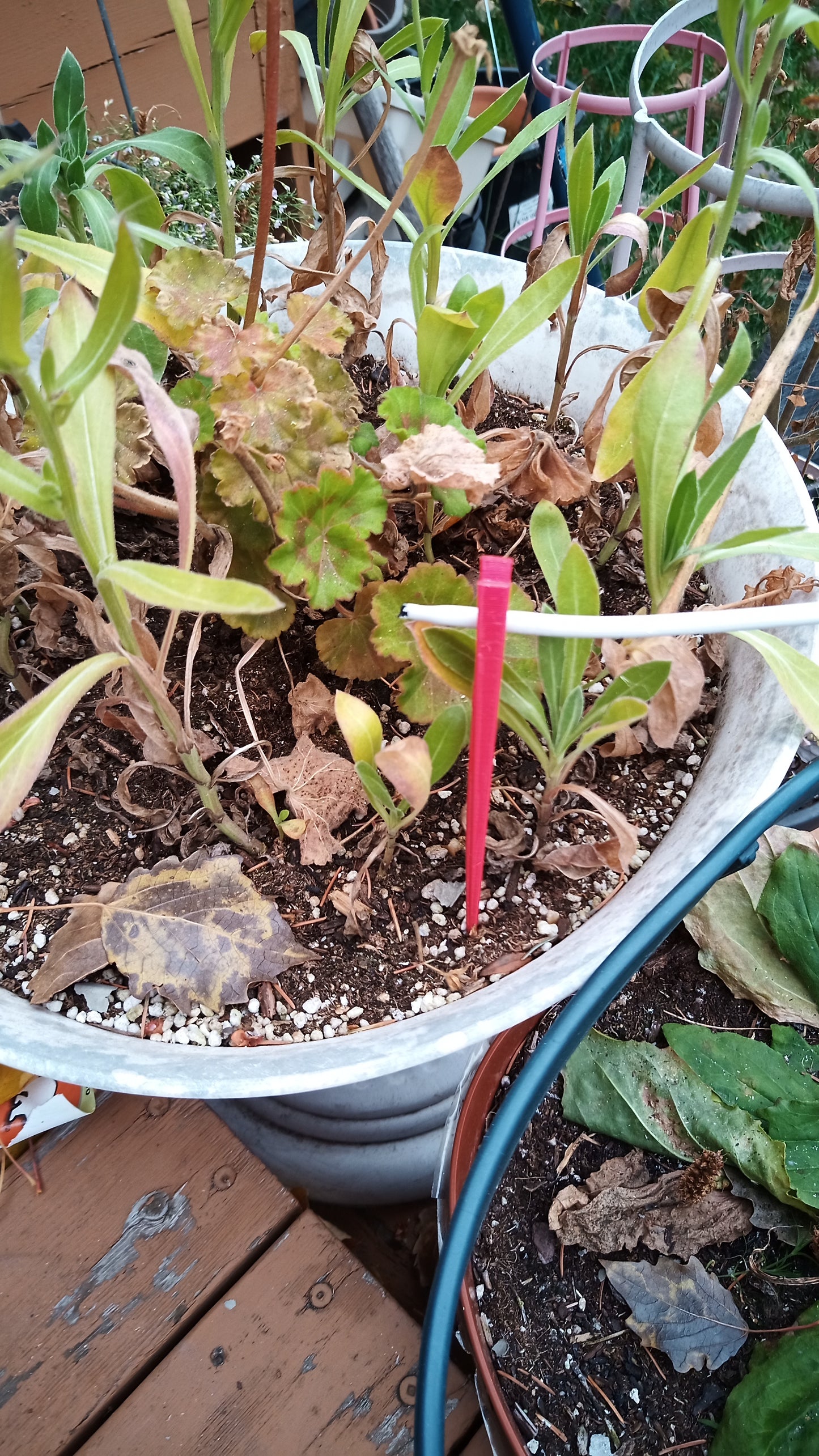 3D printed Irrigation Drip Support Stakes